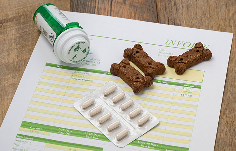 Dog medicine and prescription